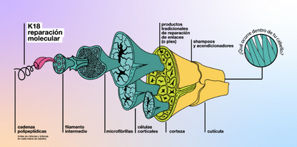 💫 Mascarilla Capilar K18™ – Renueva Tu Cabello Desde el Interior en Solo 4 Minutos en casa.