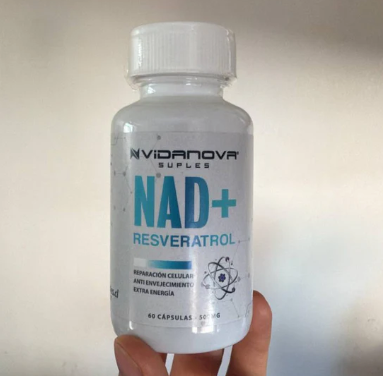 Maria Clara Santander, Nunoa, Metropolitana 