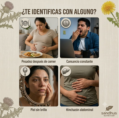 Liver Cleanse & Detox: Desinflama tu abdomen y reactiva tu metabolismo 🌱⚡ 70 cápsulas.