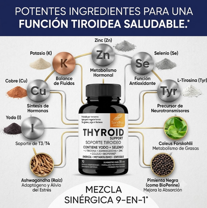 Thyroid Support: Reinicia tu metabolismo estancado y recupera tu energía natural ⚡🔥