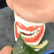 InstantSmile™ - Sonrisa soñada en minutos